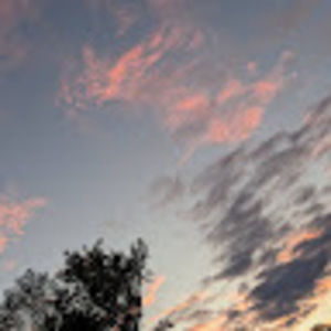 Meet your Posher, Addison